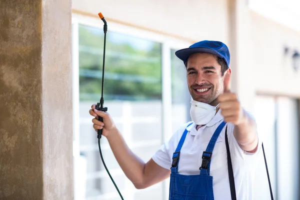 South San Francisco Wasp Removal