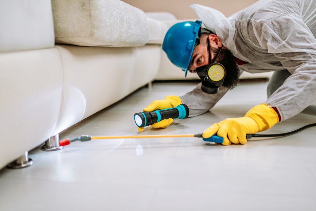 South San Francisco Termite Control