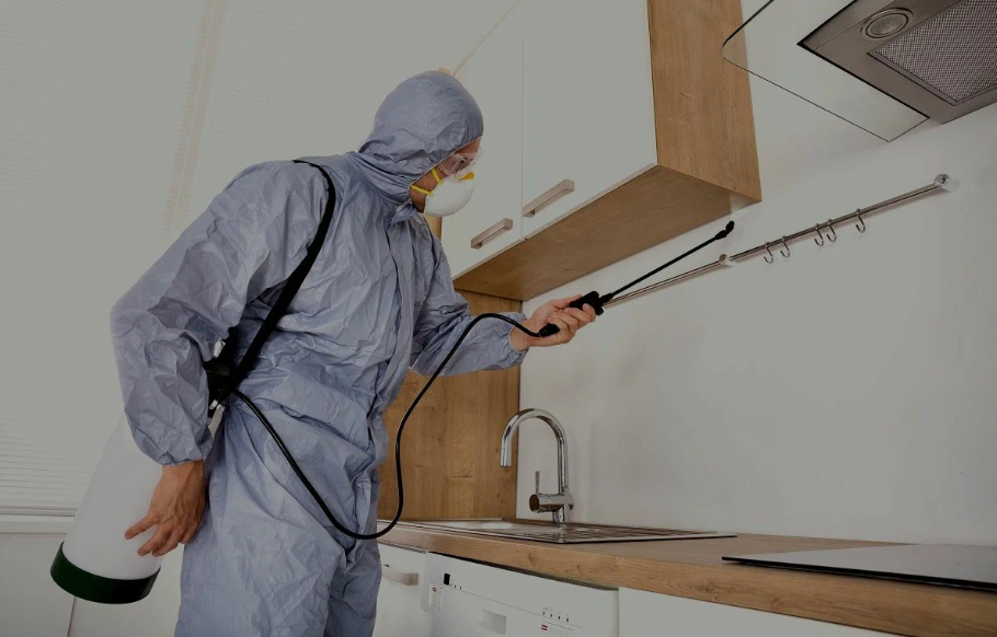 South San Francisco pest managment
